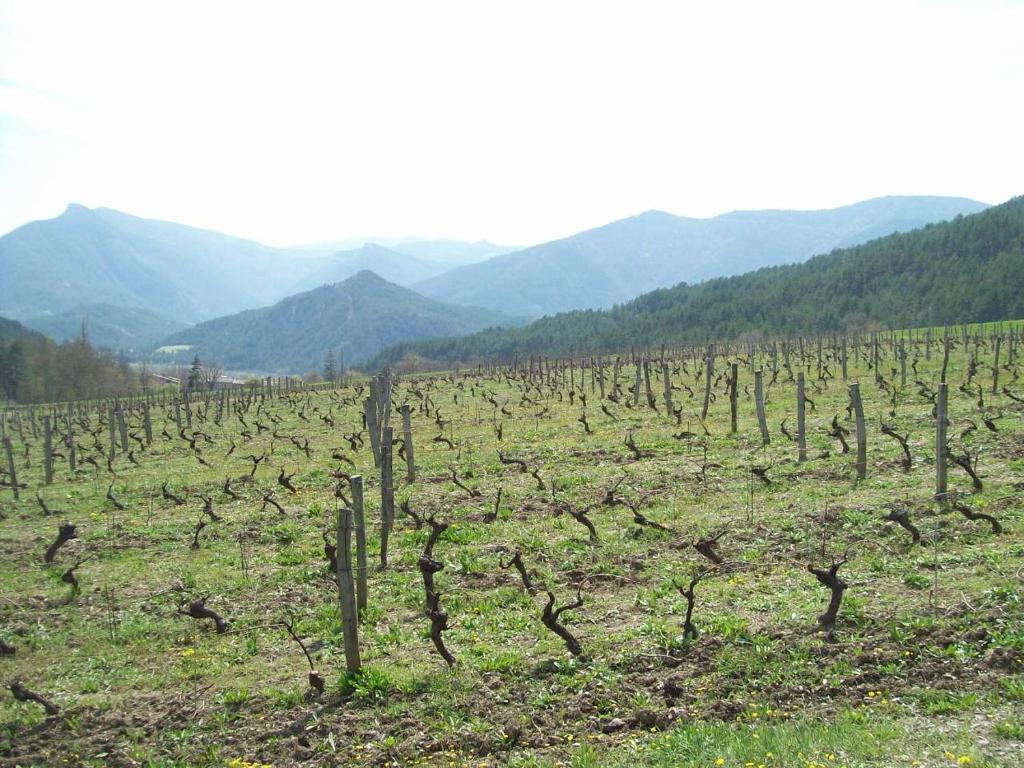 مبيت وإفطار Ponet-et-Saint-Auban Le Vin De L'Ete المظهر الخارجي الصورة